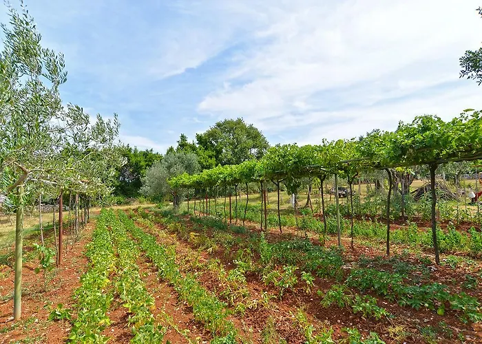 Apartment With Nice Terrace 684